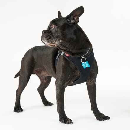 Pugsley