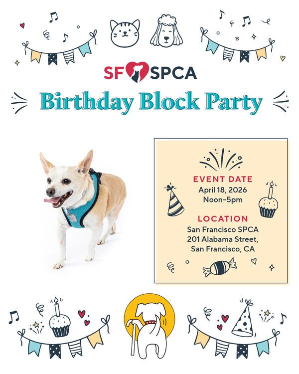 SF SPCA Block Party