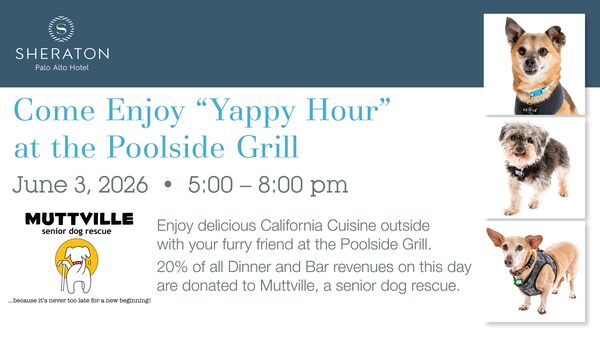 Yappy Hour at the Sheraton Palo Alto