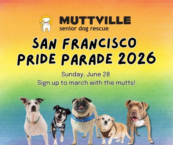 Mutt Pride at San Francisco Pride Parade 2026!
