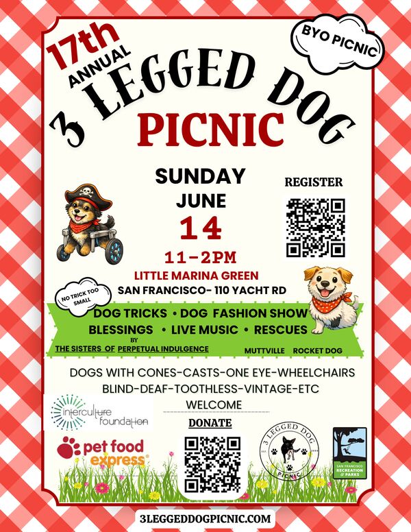 3 Legged Dog Picnic
