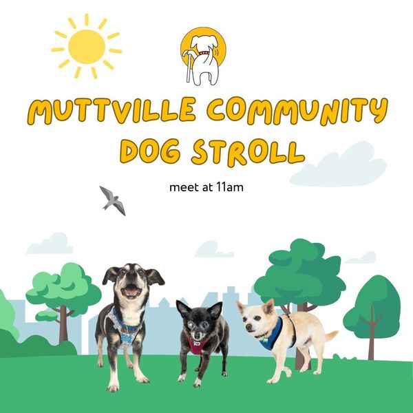 Monthly Community Stroll