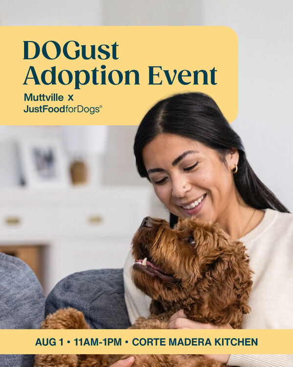 DOGust Adoption Event at Just Food For Dogs