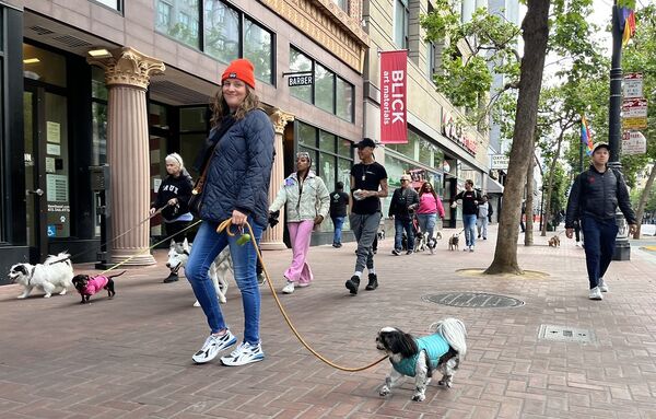 Pack Walk on Market Street