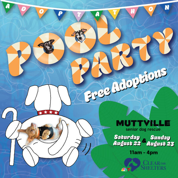 Pool Party Adoptathon