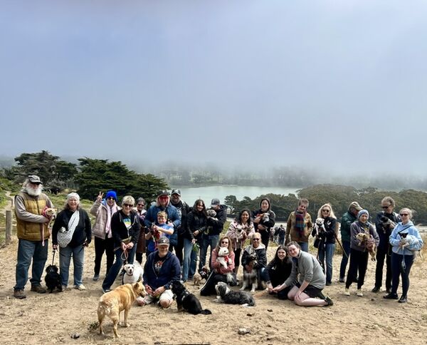 Mutt Meander: A Community Stroll