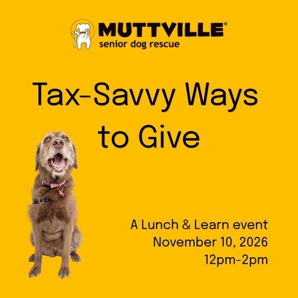 Lunch & Learn: Tax-Savvy Ways to Give