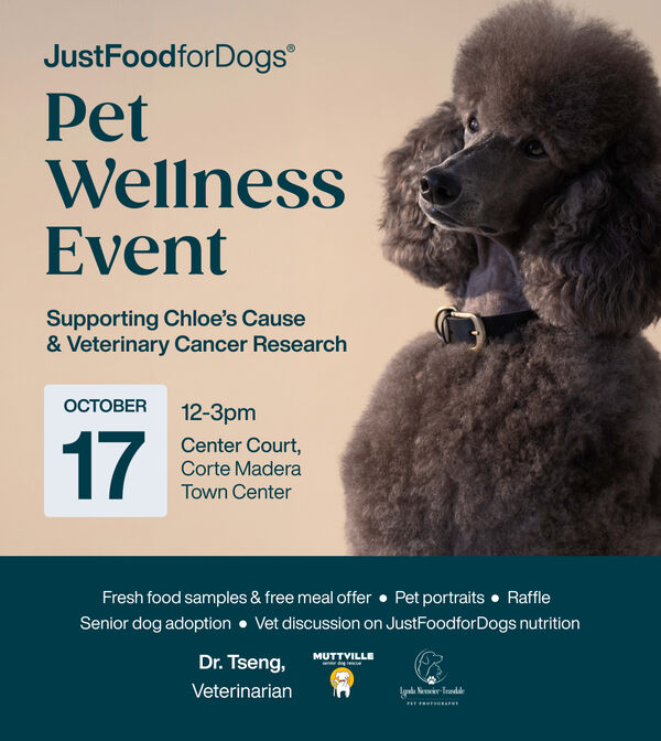 JustFoodforDogs Pet Wellness Event