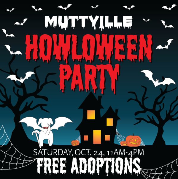 Muttville Howloween Party